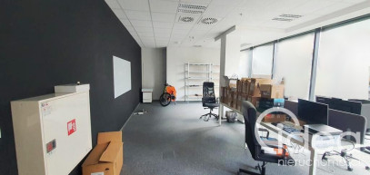 Lokal Wynajem Szczecin Centrum