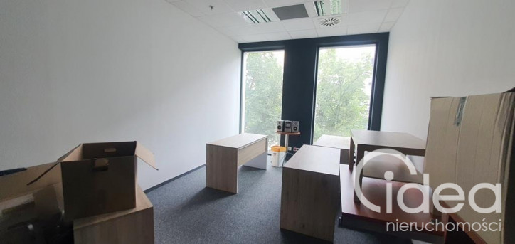 Lokal Wynajem Szczecin Centrum 8