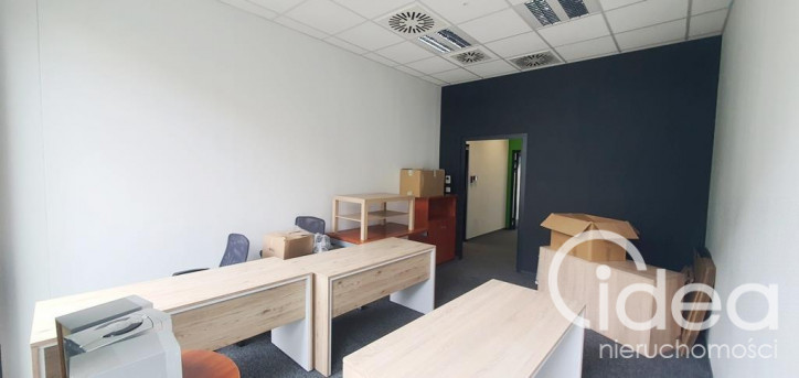 Lokal Wynajem Szczecin Centrum 9