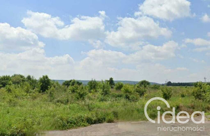Działka Sprzedaż Kozłów 3