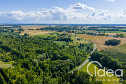 Działka Sprzedaż Grabowo