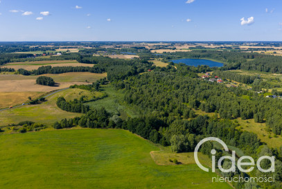 Działka Sprzedaż Grabowo
