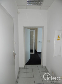 Lokal Wynajem Szczecin Centrum