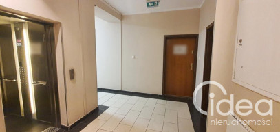Lokal Wynajem Szczecin Centrum