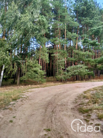 Działka Sprzedaż Tanowo Szczecińska 3