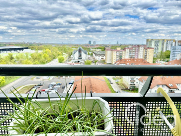 Mieszkanie Wynajem Szczecin Centrum Santocka