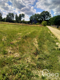 Działka Sprzedaż Grzepnica