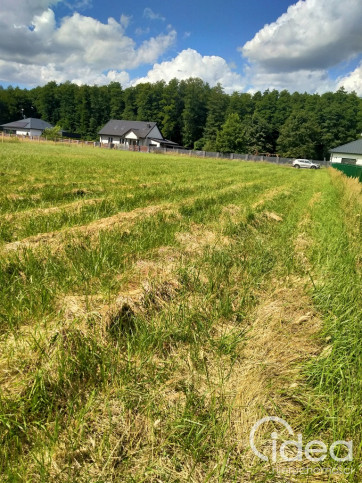 Działka Sprzedaż Grzepnica 3
