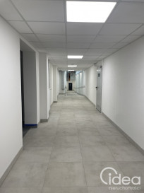 Mieszkanie Sprzedaż Szczecin Centrum Mieczysława Niedziałkowskiego