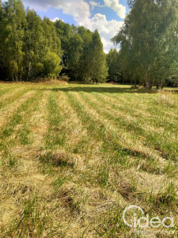 Działka Sprzedaż Grzepnica 1