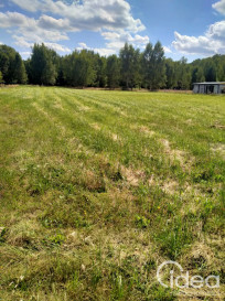 Działka Sprzedaż Grzepnica
