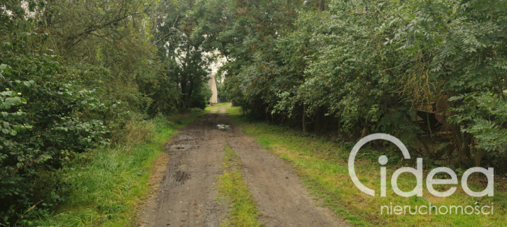 Działka Sprzedaż Barnisław 6