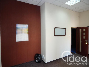 Lokal Wynajem Szczecin Śródmieście-Centrum