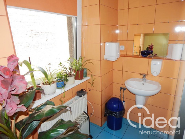 Lokal Wynajem Szczecin Śródmieście-Centrum 12