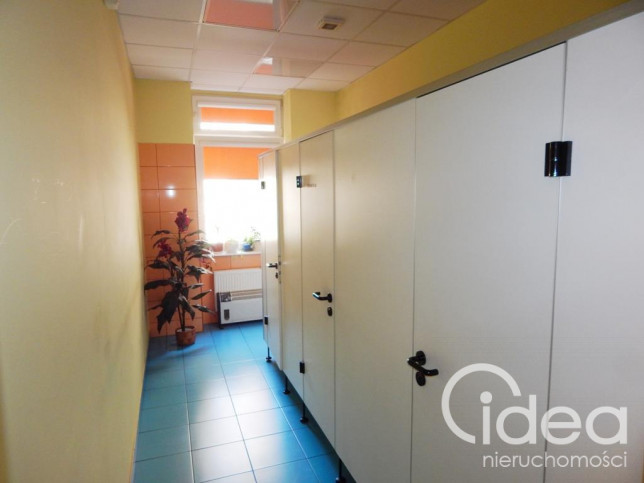 Lokal Wynajem Szczecin Śródmieście-Centrum 13