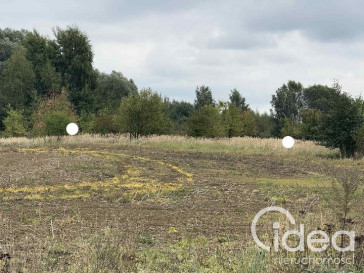 Działka Sprzedaż Stara Dąbrowa