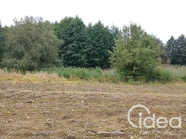 Działka Sprzedaż Stara Dąbrowa 14