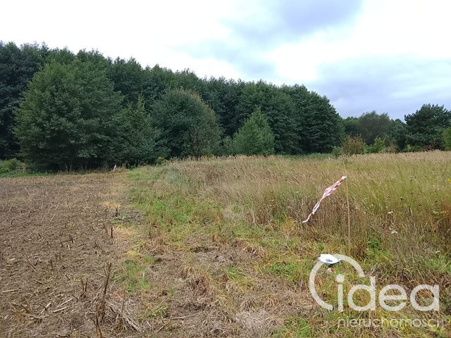 Działka Sprzedaż Stara Dąbrowa 18
