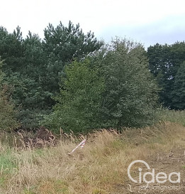 Działka Sprzedaż Stara Dąbrowa