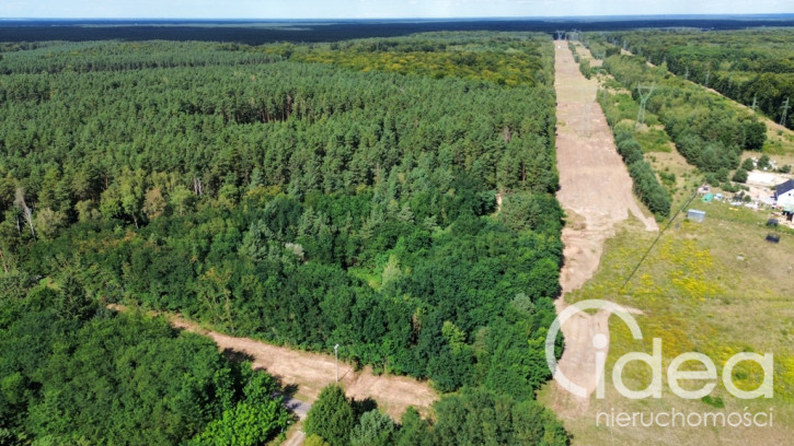 Działka Sprzedaż Szczecin Jezierzyce 1