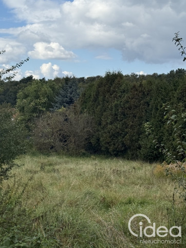 Działka Sprzedaż Szczecin Pilchowo 1