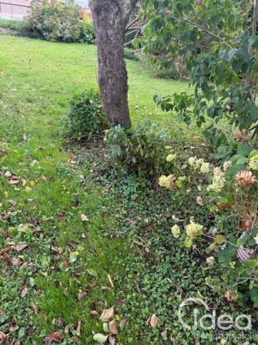 Dom Sprzedaż Kamień Pomorski 13