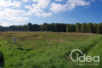 Działka Sprzedaż Jatki