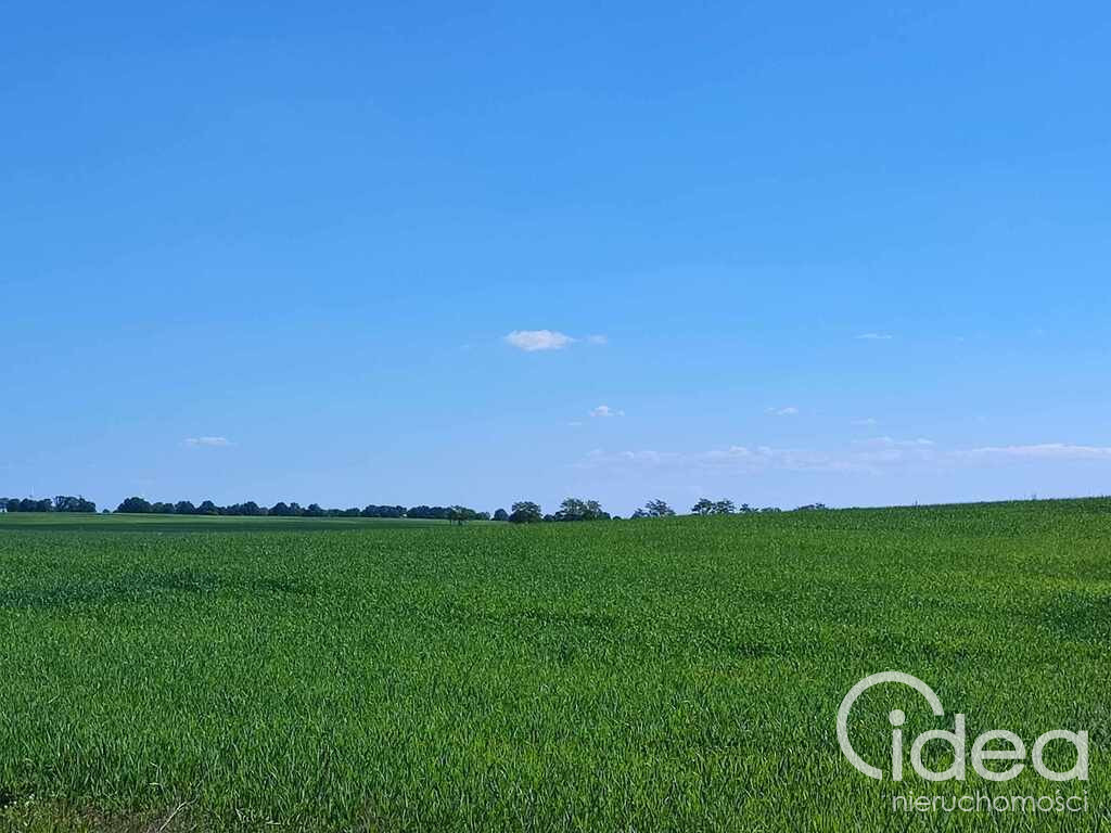 Działka Sprzedaż Grabowo