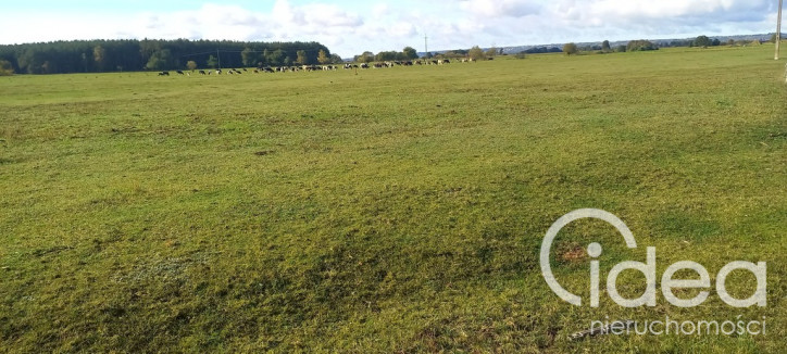 Działka Sprzedaż Borzysławiec 3