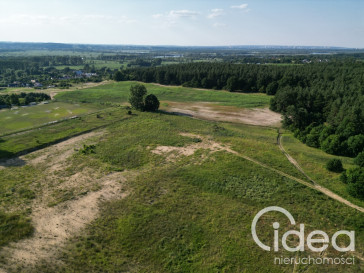 Działka Sprzedaż Daleszewo