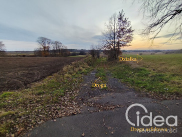 Działka Sprzedaż Wojcieszyn