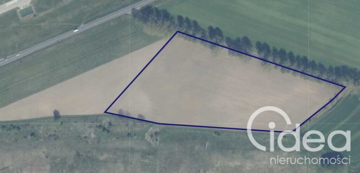 Działka Sprzedaż Wojcieszyn 5