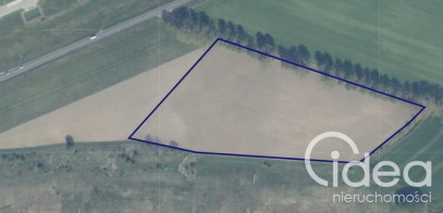 Działka Sprzedaż Wojcieszyn