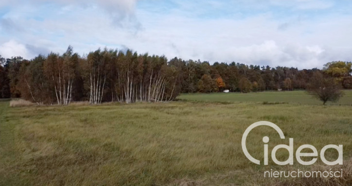 Działka Sprzedaż Chrząstowo 1