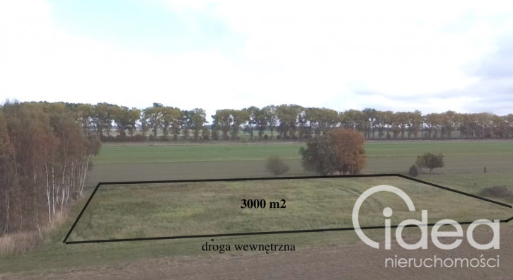 Działka Sprzedaż Chrząstowo 2
