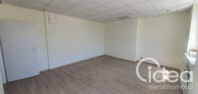 Lokal Wynajem Szczecin Stare Miasto