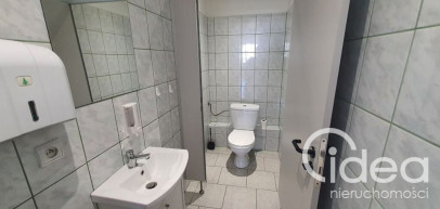 Lokal Wynajem Szczecin Stare Miasto