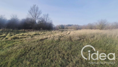 Działka Sprzedaż Tatynia