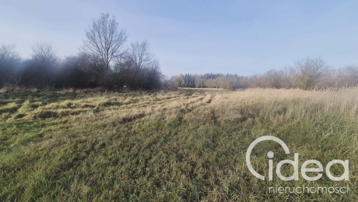 Działka Sprzedaż Tatynia 2