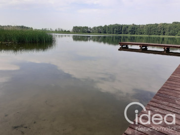 Działka Sprzedaż Sielsko