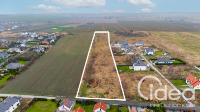 Działka Sprzedaż Wołczkowo