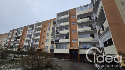 Mieszkanie Sprzedaż Szczecin os. Kasztanowe os.&nbsp;Kasztanowe