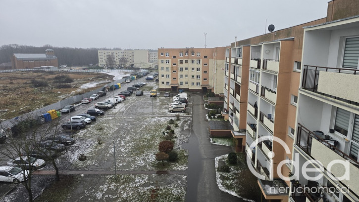 Mieszkanie Sprzedaż Szczecin os. Kasztanowe os.&nbsp;Kasztanowe 21