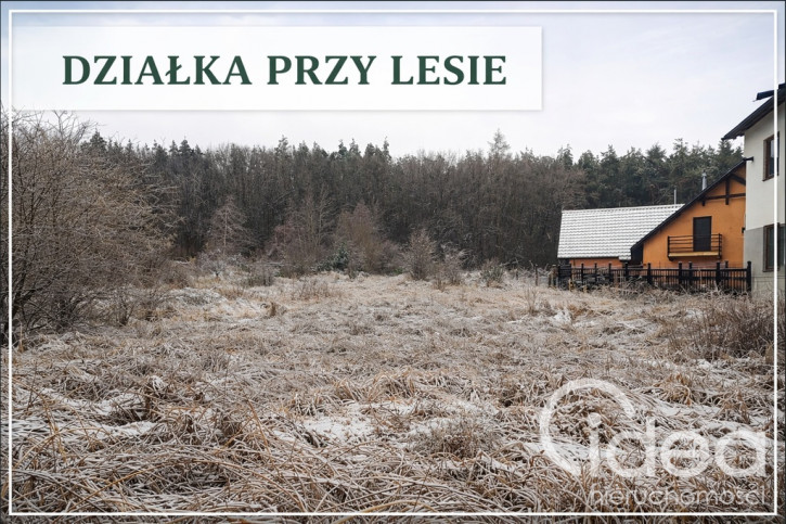 Działka Sprzedaż Pilchowo 1