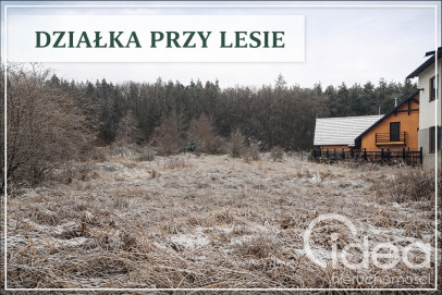 Działka Sprzedaż Pilchowo