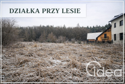 Działka Sprzedaż Pilchowo