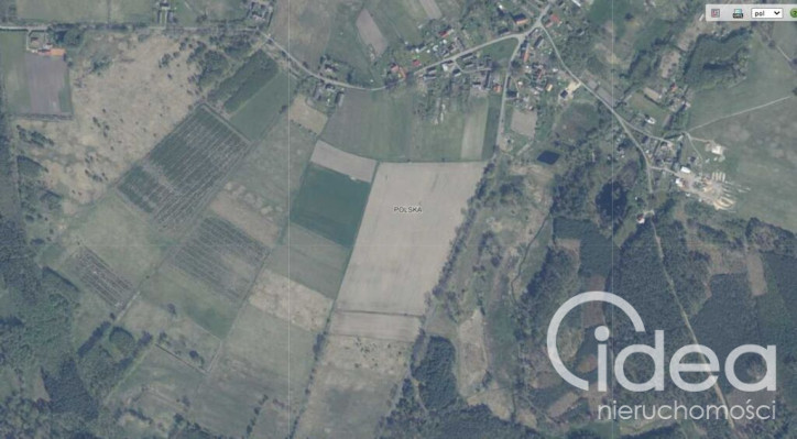 Działka Sprzedaż Trzechel 1