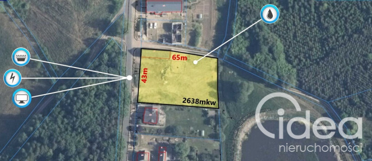 Działka Sprzedaż Recz Leśna 1