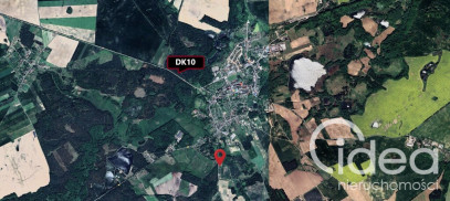 Działka Sprzedaż Recz Leśna
