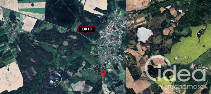 Działka Sprzedaż Recz Leśna 2